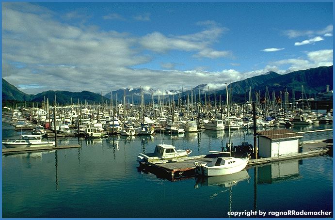Alaska Bild: Seward Hafen