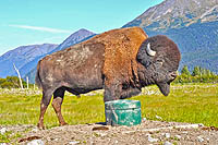 Alaska Native Heritage Center (cc) Madeleine Deaton; 