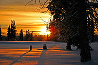Alaska Landschaft (c) Nomadic Lass