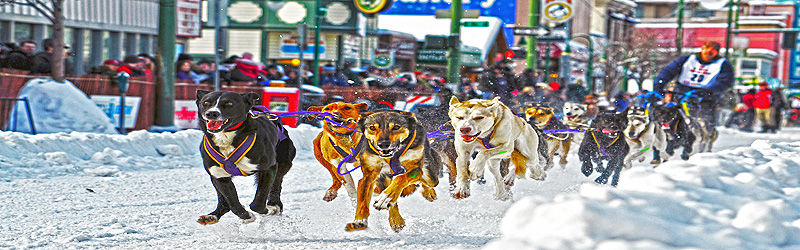 Fur Rondy (c) / ACVB Anchorage Photography Fur Rondy (c) / ACVB Anchorage Photography