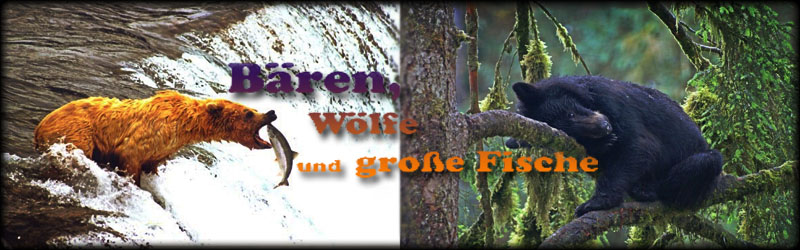 Baeren, Woelfe und grosse Fische (c) Gerhard Hay Baeren, Woelfe und grosse Fische (c) Gerhard Hay