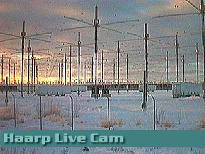 Klick 4 Live Bild