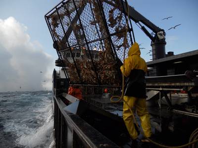 Fang des Lebens - Der gefährlichste Job Alaskas (Staffel 7) (c) DMAX