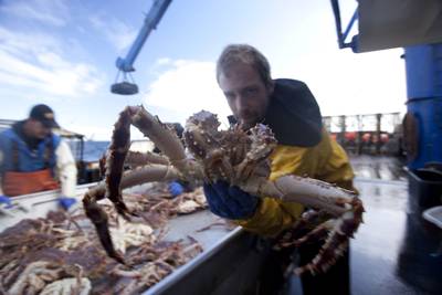 Fang des Lebens - Der gefährlichste Job Alaskas (Staffel 7) (c) DMAX