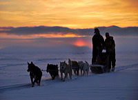 Die-Familie-mit-den-Schlittenhunden (c) Real Fiction Filmverleih / KFP Kölner Filmpresse
