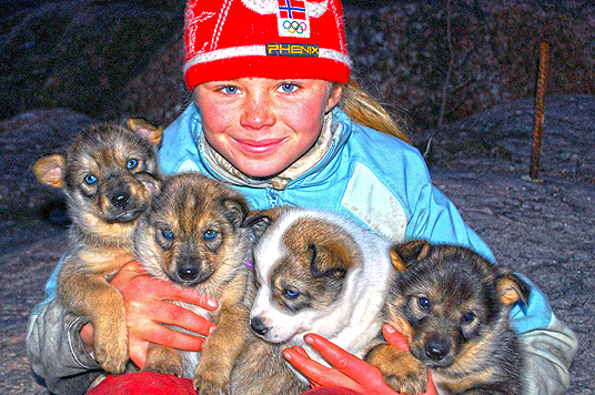 Die Familie mit den Schlittenhunden (c) Real Fiction Filmverleih 