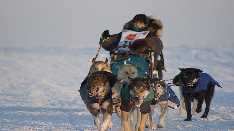 Husky Race - Iditarod (c) Discovery Channel