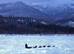 Life below zero (c) BBC Worldwild