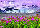 Alaska Kalender