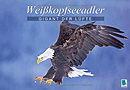 Alaska Kalender