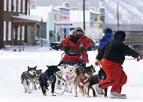 Yukon Quest 1999 (c) M.Guldner