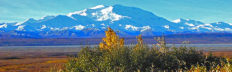 Denali Nationalpark (c) Skip Via