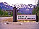 Denali National Park